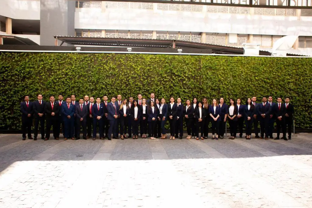 Equipo de más de 50 especialistas contables y fiscales ROISTOM Guadalajara